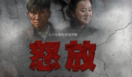 怒放电视剧演员表,实力派演员齐聚，演绎激情燃烧的岁月